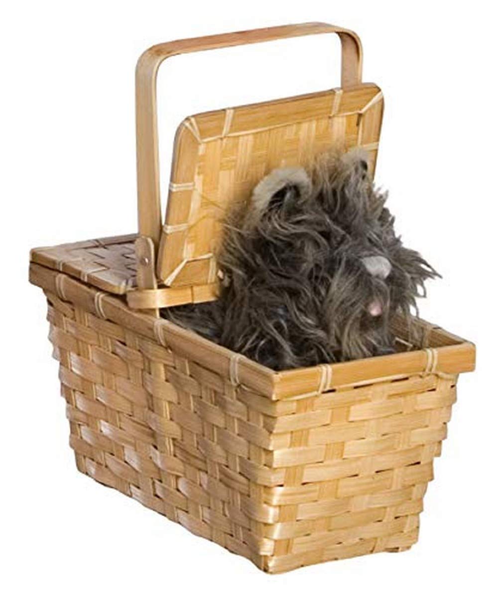Rubie's Wizard of Oz Dorothy's Toto In A Basket Costume Accessory, 10 x 7 x 5 inches