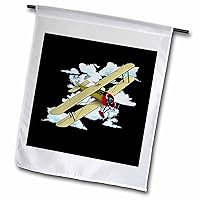3dRose A vintage antique biplane aviation graphic for pilots. - Flags (fl_351839_1)
