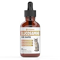 Glucosamine for Cats | Cat Glucosamine | Glucosamine for Cats Liquid | Cat Joint Supplement | Joint Supplement for Cats | Cat Joint Pain Relief | Joint Support for Cats | 1 fl oz: Chicken Flavor