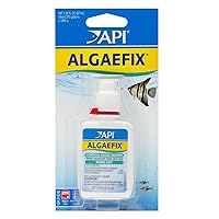 API ALGAEFIX Algae Control 1.25-Ounce Bottle, ALGAEFIX 1.25 OZ