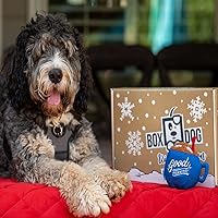 Monthly Dog Subscription Box with 100% Handmade Treats & 2 Dog Toys: Medium Dog 21-50lb