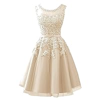 Lace Appliques Tulle Homecoming Dresses Short Sleeveless Prom Party Dress for Junior