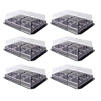 Mochi Boxes Cake Containers Carriers 6-Compartment Disposable Plastic Containers with Lid Muffin Tray Clear Yolk Pastries Container for Party Wedding Muffin Pastry Dessert,24 Pack