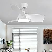 Ceiling Fans, Reversible Ceiling Fan with Light Silence 5 Speeds Bedroom Led Fan Ceiling Light with Remote Control Mute Modern Living Room Quiet Ceiling Fan Light with Timer/White
