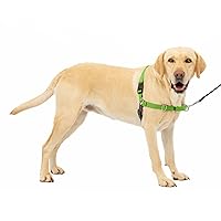PetSafe Easy Walk No-Pull Dog Harness - The Ultimate Harness to Help Stop Pulling - Take Control & Teach Better Leash Manners - Helps Prevent Pets Pulling on Walks - Large, Apple Green/Gray