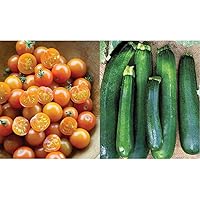 Sun Gold Hybrid Non-GMO Home Garden | Sweet Orange Cherry Tomatoes | Best Vegetable Planting, 30 Seeds & Black Beauty Zucchini Summer Squash Seeds 100 Seeds