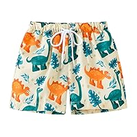 Boys Swim Trunks 4 Kids Infant Bathing 28Y Boys Suit Swimming Shorts Swim Toddler Swimsuit Beach Boys (White, 5-6 Years)