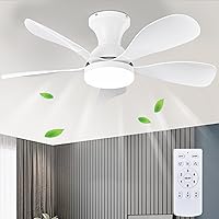 33In Low Profile Ceiling Fans with Lights and Remote,White Modern Flush Mount Ceiling Fan with 5 Reversible Blades Reversible for Outdoor Patio,Small Room,Bedroomn