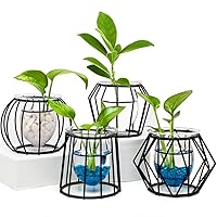 4pcs Plant Propagation Stations, Desktop Planter Terrarium with Metal Stand, Decorative Small Glass Bulb Vases Set for Hydroponics Plants, Plant Lover Gifts for Women (Black)