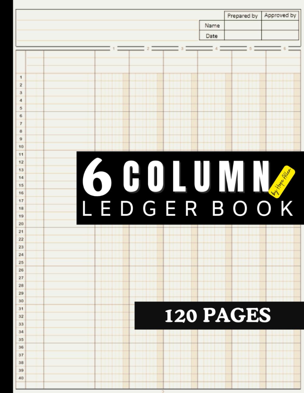 6 Column Ledger Book: Your ultimate Accounting Book for meticulous and effortless financial management: for your bookkeeping on 120 Pages (Accounting Ledger Books by Hope Allen)