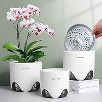 5 inch Orchid Pots with Holes,Set of 3,Double Layer Plastic Imitate Ceramic Orchid Planter Provide Good Air Circulation,Clear Orchid Pot Match Decorative Orchid Container