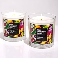 Lulu Candles | Tropical Fruit | Odor Eliminating Jar Candle | Eliminates Smoke, Pet & Cooking Odors | 9 Oz. (2-Pack) | Soy Blend Premium Candle
