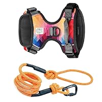 Embark Urban Dog Harness with Sierra Leash with Leash Clips, 6 feet of Leash Length, Adjustable, Soft & Padded for Comfort, No Chafing, rubbing or discomfort for Your Dog (Medium)