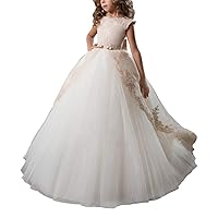 Flower Girl Dresses Tulle Ball Gown Champagne Lace Girls Dresses for Party and Wedding