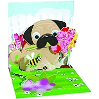 Birthday Greeting Card For Him - Pug Bouquet Pop-Up, Multicolor (865)