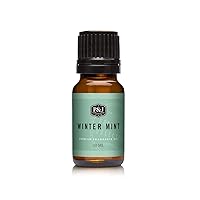 P&J Trading Fragrance Oil | Winter Mint Oil 10ml - Candle Scents for Candle Making, Freshie Scents, Soap Making Supplies, Diffuser Oil Scents