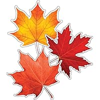 Schoolgirl Style 36-Piece Fall Leaves Cutouts, Colorful Leaf Cutouts for Bulletin Board and Classroom Décor, Fall Classroom Cut-outs, Fall Cutouts for Classroom and Fall Classroom Décor