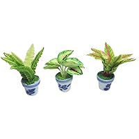 3 Pieces 1:12 Dollhouse Miniature Artificial Flower Plants in Ceramic Pot,Bird's Nest Fern,Homalomena sulcata,RER Bird's Nest Fern Dollhouse Accessories for Collectibles and Home Decoration