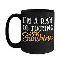 Im A Ray of Fucking Sunshine Mug Sarcastic Inappropriate Coffee Comment Tea Cup Gag Gift for Men and Women