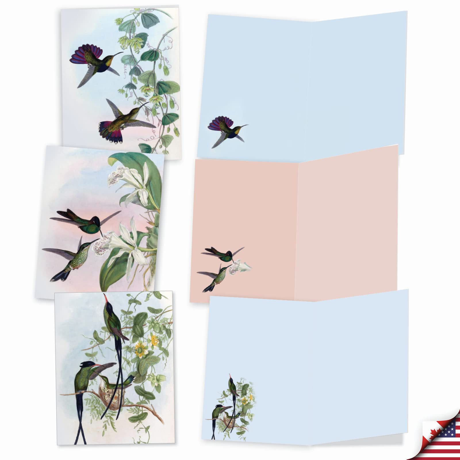The Best Card Company - 10 Bird Note Cards Blank (4 x 5.12 Inch) - All Occasion Cards with Envelopes, Boxed Set - Humming Along M10034BK