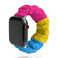 Pansexual Pride Flag Watch Band Compitable with Apple Watch Elastic Strap Sport Wristbands for Women Men