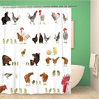 Bathroom Shower Curtain Farm Chicken Histories on a White Background Animal Hen Egg Polyester Fabric 66x72 inches Waterproof Bath Curtain Set with Hooks