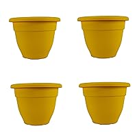 The HC Companies 6 Inch Caribbean Planter - Lightweight Indoor Outdoor Plastic Plant Pot for Herbs and Flowers,Honey (4 Pack)