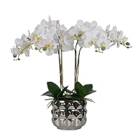 Artificial Orchid Plants & Flowers Arrangement in Ceramic Pot, Fake White Orchid with Silver Vase, Realistic Faux Orchids for Home Decor Indoor