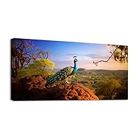 YONICA Wall Canvas Animal Painting, Wall Painting Art Decor Prints Picture of Beautiful Peacock In the Nature Framed Stretched Printed on Canvas for Home Living Room Bedroom Office 24 X 48 Inches