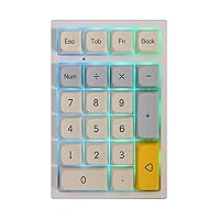 EPOMAKER TH21 21 Keys Hot Swap 2.4Ghz/Bluetooth 5.0/Wired Programmable RGB Mechanical Gaming Numpad with XDA Profile PBT Keycaps for Win/Mac (Geometry Grey, Gateron Pro Brown)