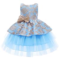 Children's mesh Princess Dresses,Girls' Jacquard Puffy Catwalk Dresses. (Pink, 3X_l)