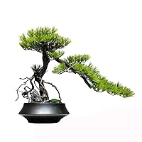 Simulated Bonsai Arhat Pine Decoration Green Plant Home Porch Living Room Hotel Decoration Fake Tree