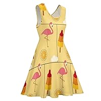Flamingo Popsicle Sleeveless Swing Dress Beach Mini for Women Print