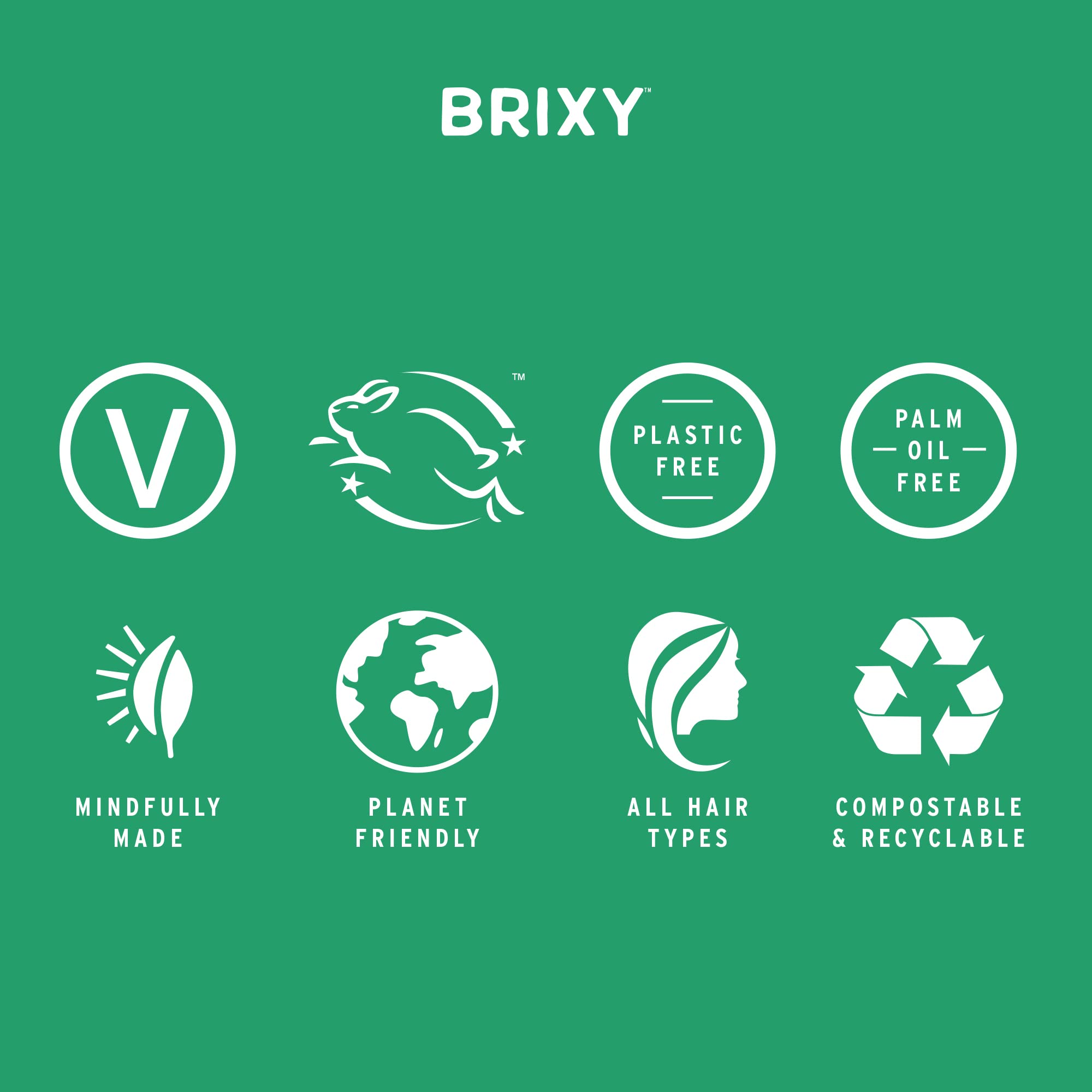 BRIXY Shampoo Bar for Balance & Hydration, All Hair Types, pH Balanced & Safe for Color Treated Hair, Sustainable, Vegan, Plastic Free (pack of 1, 4oz bar)