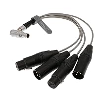 10 Pin Male Plug to 4 XLR 3 Pin Breakout Audio Input Output Cable for Atomos Shogun Monitor Recorder Audio Splitter 30cm
