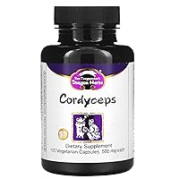 Dragon Herbs - Cordyceps Capsules - 100 Capsules, 500 mg each