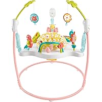 Fisher-Price Baby Bouncer Activity Center Blooming Fun Jumperoo with Music Lights and Developmental Toys for Infants