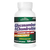 Glucosamine and Chondroitin Plus Tablets, 120 Count