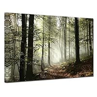 Farmhouse Rustic Canvas Wall Art Forest Trees Foggy Morning Spring Modern Landscape Natural Artwork Print Framed Painting Living Room Home Office Wall Décor 20x28inch