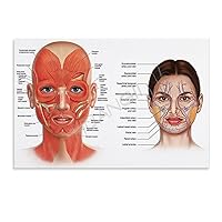 Botox Injection Poster, Facial Skin Beauty Therapist Salon Art Poster (5) Canvas Poster Wall Art Decor Print Picture Paintings for Living Room Bedroom Decoration Unframe-style 30x20inch(75x50cm)