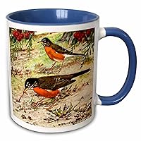 3dRose Vintage Bird Art American Robin Catches Worm - Robins Birds Feeding - Mugs (mug-364690-11)