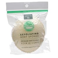 Earth Therapeutics Body Sponge, Exfoliating, 1 each (Pack of 4)