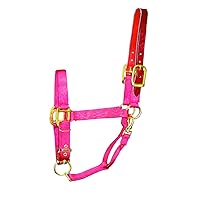 Hamilton 1-Inch Nylon Adjustable Horse Halter with Leather Head Poll and Throat Snap, Average, Red