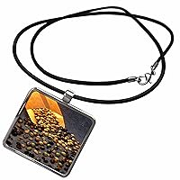 3dRose TDSwhite – Farm and Food - Food Assorted Soybean Seeds - Necklace With Pendant (ncl_285119)