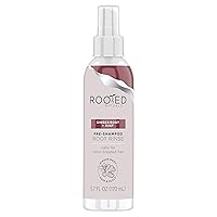 Ginger Root and Mint - Pre-Shampoo Root Rinse, 5.7 fl oz