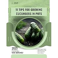 27 Heat-Resistant Vegetables for Warm Climates: Guide and overview