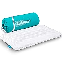 BLISSBURY Stomach Sleeping Pillow - Thin Memory Foam Pillow for Stomach Sleepers | Ultra Thin Pillow for Sleeping | Flat Pillows for Sleeping, Slim Pillow, Stomach Sleeper Pillow | 2.6 Inch Thickness