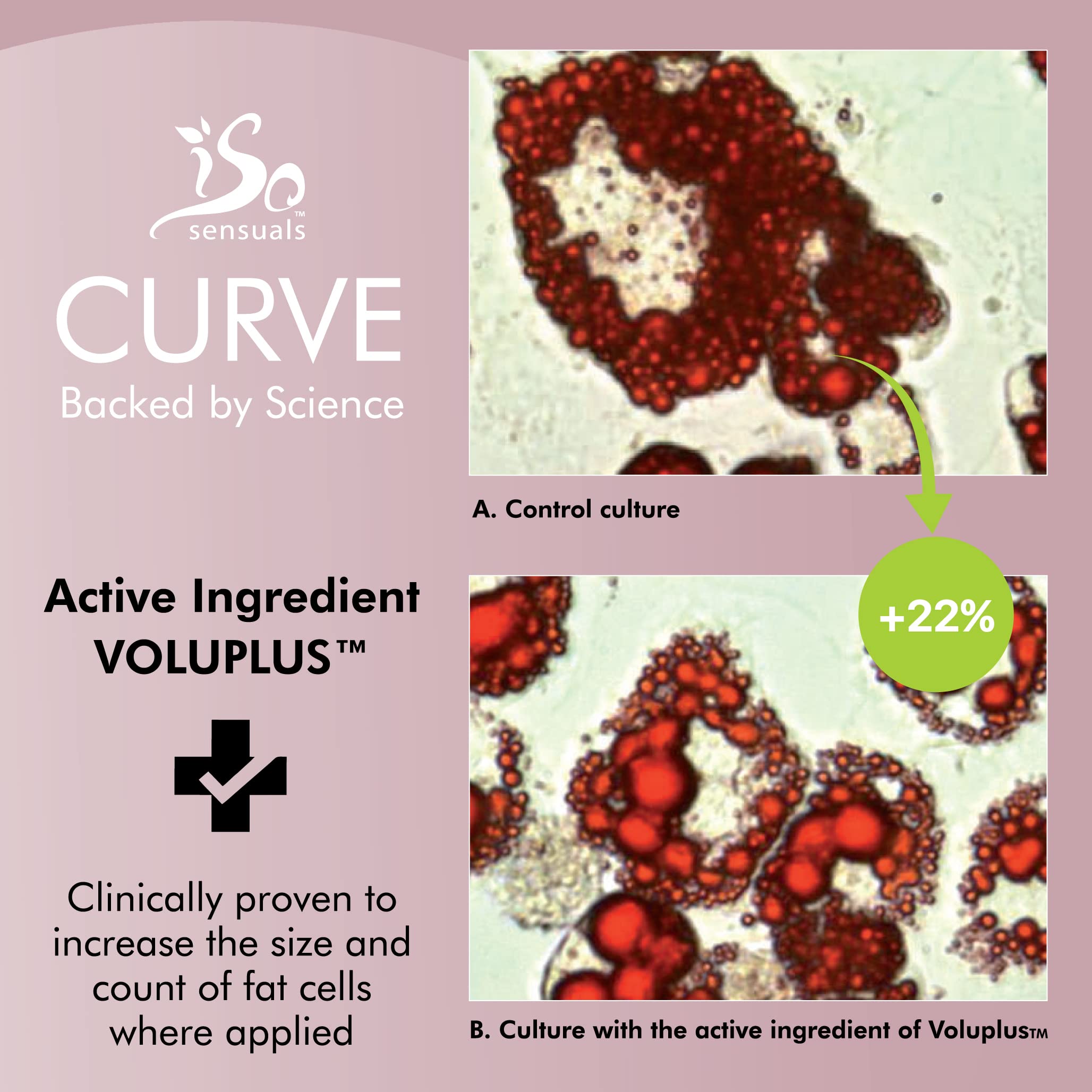 IsoSensuals CURVE Butt Enhancement Cream - 3 Bottles