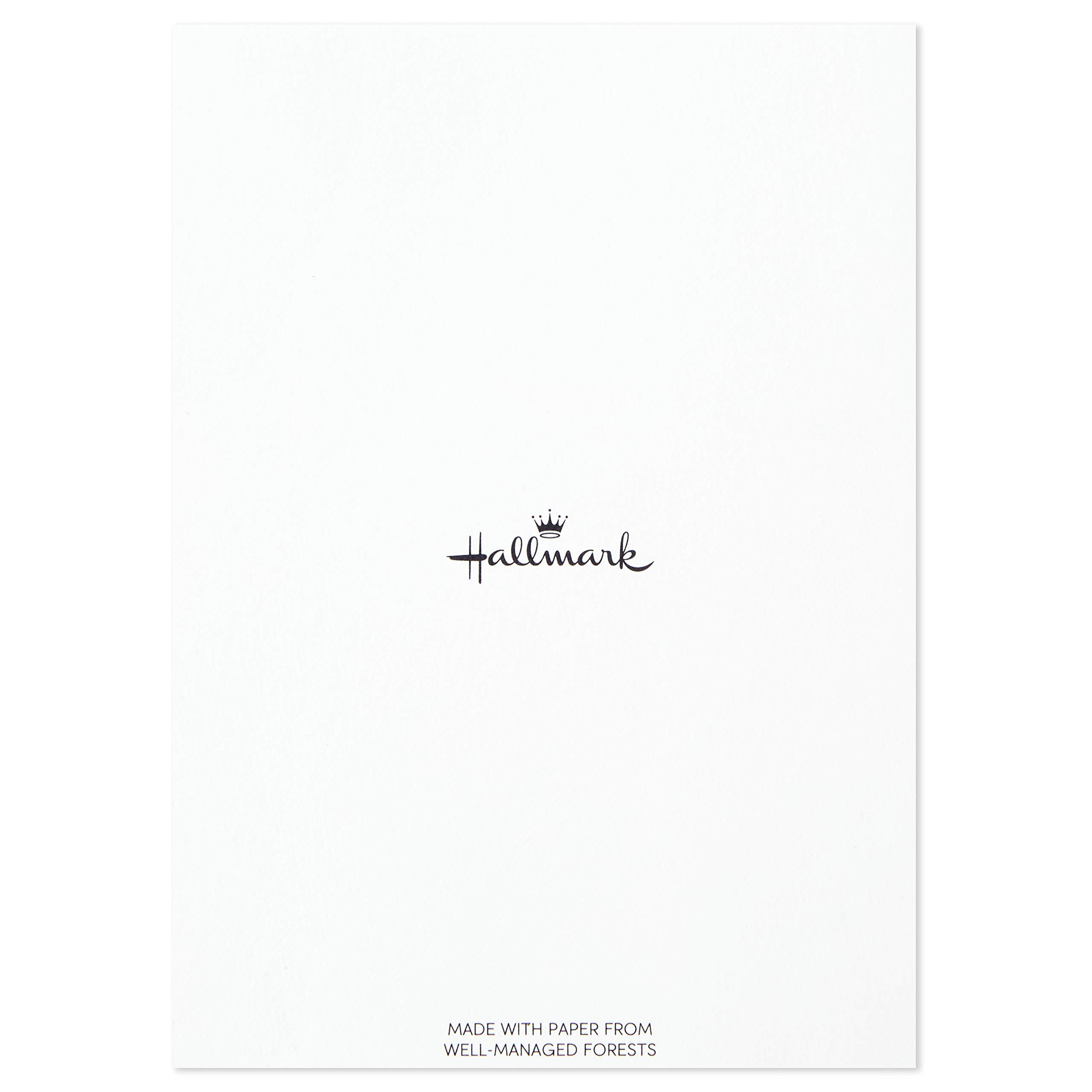 Hallmark Congratulations Card and Graduation Card Assortment (Boxed Set of 24 Cards with Envelopes)