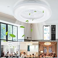 Daromigo Ceiling Fan with Lighting, 80 W LED Continuous Dimming Fan Rotate Both Directions, with Remote Control and Mobile App, 3 Colour Temperatures, 6 Gears and Timer Fan Light